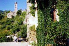 corsica-hostel-garden