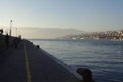DSC01906