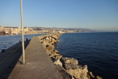 DSC01910